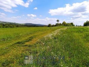 Prodej rodinného domu, Velešín, U Přehrady, 221 m2