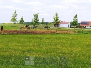 Prodej rodinného domu, Velešín, U Přehrady, 221 m2