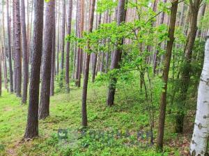 Prodej rodinného domu, Velešín, U Přehrady, 221 m2