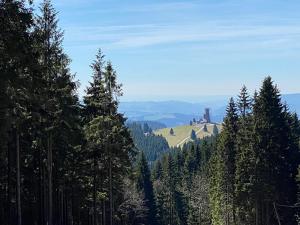 Prodej pozemku pro komerční výstavbu, Staré Město, Malé Vrbno, 11917 m2