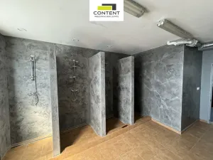 Prodej výrobních prostor, Chomutov, Beethovenova, 15052 m2