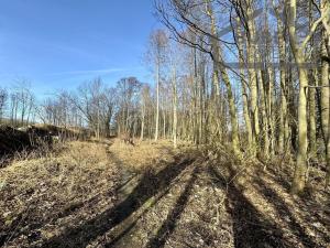 Prodej pozemku pro komerční výstavbu, Tachov, 12884 m2