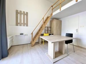 Pronájem bytu 1+kk, Brno - Staré Brno, Václavská, 20 m2