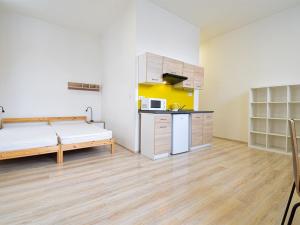 Pronájem bytu 1+kk, Brno - Staré Brno, Václavská, 36 m2