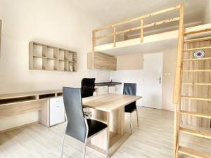 Pronájem bytu 1+kk, Brno - Staré Brno, Václavská, 22 m2