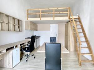 Pronájem bytu 1+kk, Brno - Staré Brno, Václavská, 22 m2