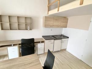 Pronájem bytu 1+kk, Brno - Staré Brno, Václavská, 22 m2