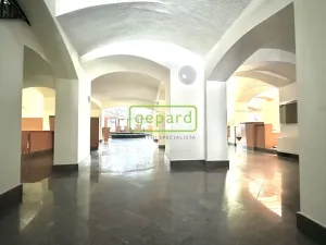 Prodej obchodního prostoru, Svitavy, náměstí Míru, 4666 m2