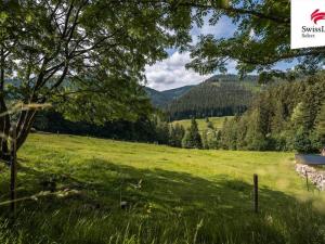 Prodej trvalého travního porostu, Pec pod Sněžkou, 7113 m2