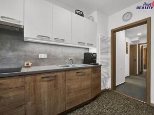 Prodej apartmánu, Široká Niva, 264 m2