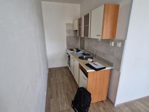 Pronájem bytu 1+kk, Ústí nad Labem, Dr. Horákové, 32 m2