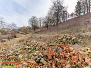 Prodej pozemku pro bydlení, Bezděkov nad Metují, 3063 m2