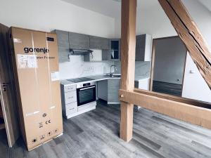 Pronájem bytu 3+kk, Teplice, Brožíkova, 59 m2