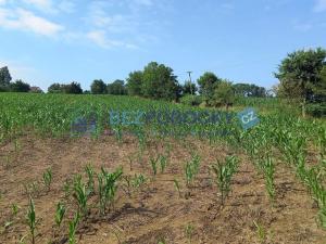 Prodej komerčního pozemku, Havlíčkův Brod - Termesivy, 20005 m2