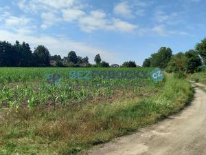 Prodej komerčního pozemku, Havlíčkův Brod - Termesivy, 20005 m2