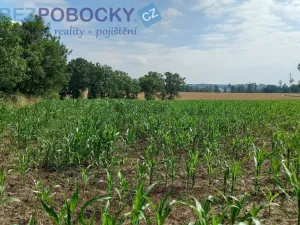 Prodej komerčního pozemku, Havlíčkův Brod - Termesivy, 20005 m2