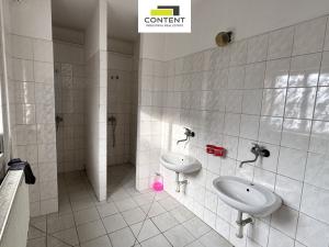 Pronájem výrobních prostor, Litoměřice - Předměstí, 2200 m2