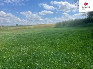 Prodej trvalého travního porostu, Hodice, 360 m2