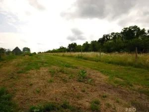Prodej vinného sklepa, Břeclav - Charvátská Nová Ves, 15 m2