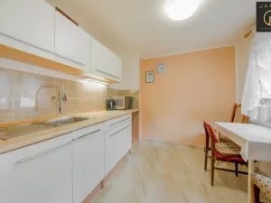 Prodej rodinného domu, Chožov - Mnichovský Týnec, 640 m2