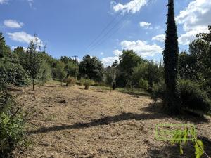 Prodej zahrady, Samotišky, 770 m2