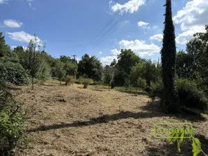 Prodej zahrady, Samotišky, 770 m2