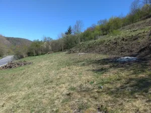 Prodej pozemku pro bydlení, Beroun - Beroun-Závodí, 15999 m2