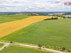 Prodej zemědělské půdy, Horní Bělá, 5000 m2