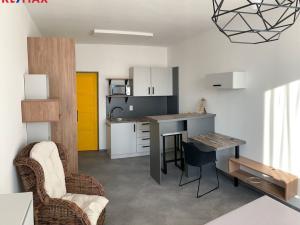 Pronájem bytu 1+kk, Havířov - Město, E. F. Buriana, 24 m2