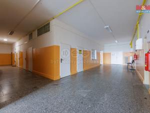 Prodej obchodního prostoru, Sokolov, Marie Majerové, 180 m2