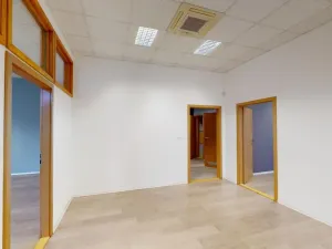 Pronájem komerční nemovitosti, Ústí nad Labem - Ústí nad Labem-centrum, Masarykova, 100 m2
