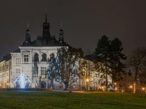 Prodej bytu 1+kk, Plzeň, Sladkovského, 35 m2