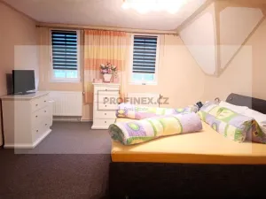 Prodej vily, Kraslice, Rybná, 420 m2
