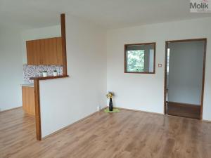 Prodej bytu 3+kk, Bílina - Pražské Předměstí, Aléská, 63 m2