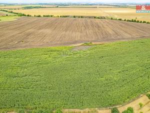 Prodej zemědělské půdy, Žatčany, 25490 m2