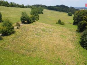 Prodej trvalého travního porostu, Nový Jičín, 7411 m2