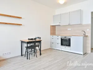 Pronájem bytu 2+kk, Brno - Staré Brno, Pekařská, 29 m2