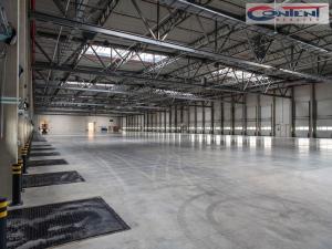 Pronájem skladu, Ostrava - Kunčičky, Rajnochova, 5000 m2