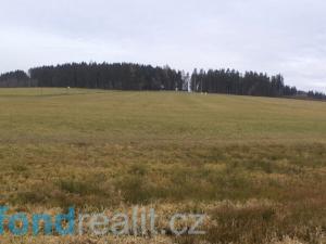 Prodej zemědělské půdy, Horní Planá, 45926 m2