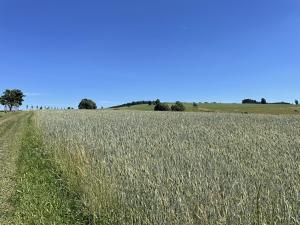 Prodej pozemku pro bydlení, Teplice nad Metují, 1000 m2