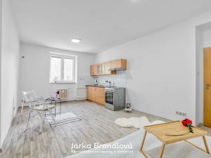 Prodej bytu 2+kk, Ostrava, Alšovo náměstí, 53 m2