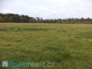 Prodej pole, Nová Ves nad Lužnicí, 30010 m2