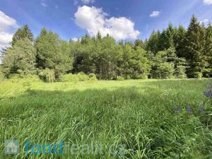 Prodej pozemku, Slavonice - Stálkov, 29493 m2