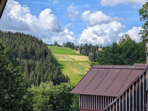 Pronájem bytu 5+kk, Vítkovice, 90 m2