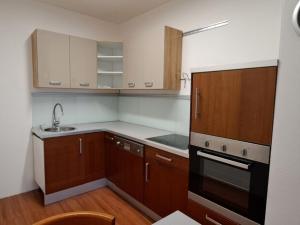 Pronájem bytu 2+kk, Jihlava, F. X. Šaldy, 50 m2