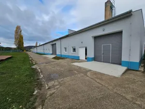 Pronájem výrobních prostor, Děčany - Solany, 500 m2