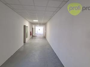 Pronájem skladu, Zlín, Šedesátá, 208 m2