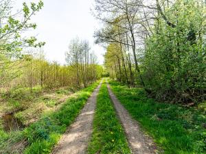 Prodej pozemku pro komerční výstavbu, Horní Stropnice, 15376 m2