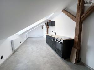 Pronájem bytu 1+kk, Meziboří, Okružní, 30 m2