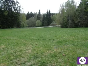 Prodej podílu 1/3 pole, Přední Výtoň, Přední Výtoň, 4039 m2